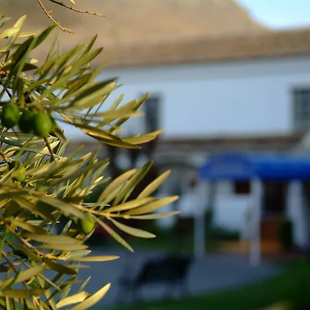 Hotel Almazara
